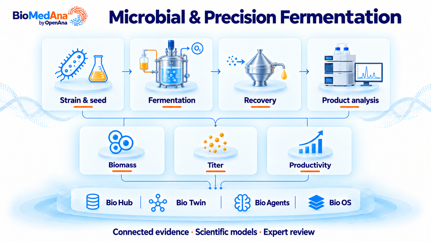 Microbial and precision fermentation workflow from Strain & seed, Fermentation, Recovery, Product analysis connected through Bio Hub, Bio Twin, Bio Agents and Bio OS