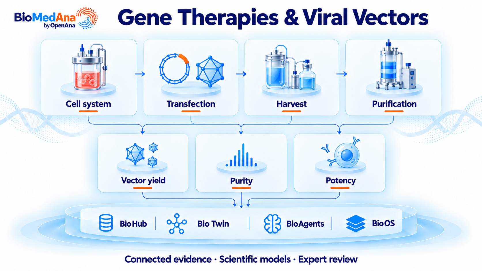 Gene therapies and viral vectors workflow from Cell system, Transfection, Harvest, Purification connected through Bio Hub, Bio Twin, Bio Agents and Bio OS