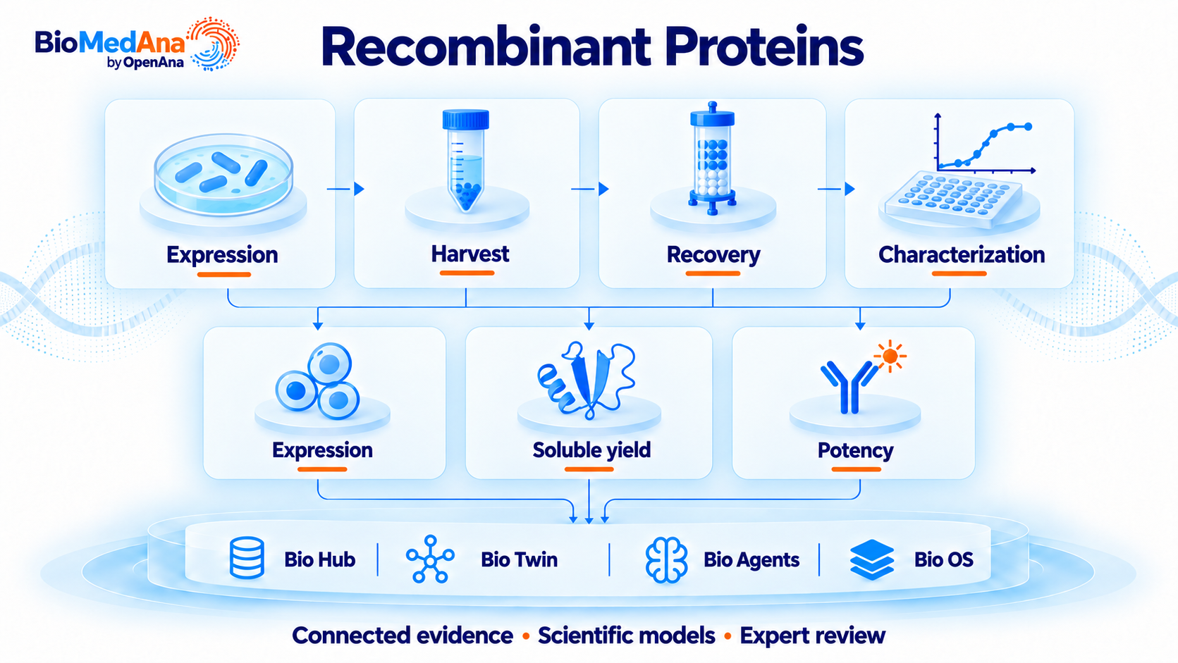 Recombinant proteins workflow from Expression, Harvest, Recovery, Characterization connected through Bio Hub, Bio Twin, Bio Agents and Bio OS