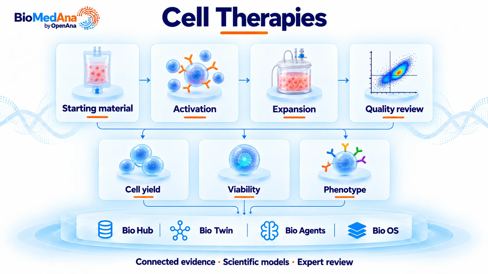 Cell therapies: connected process evidence, scientific models and review workflow