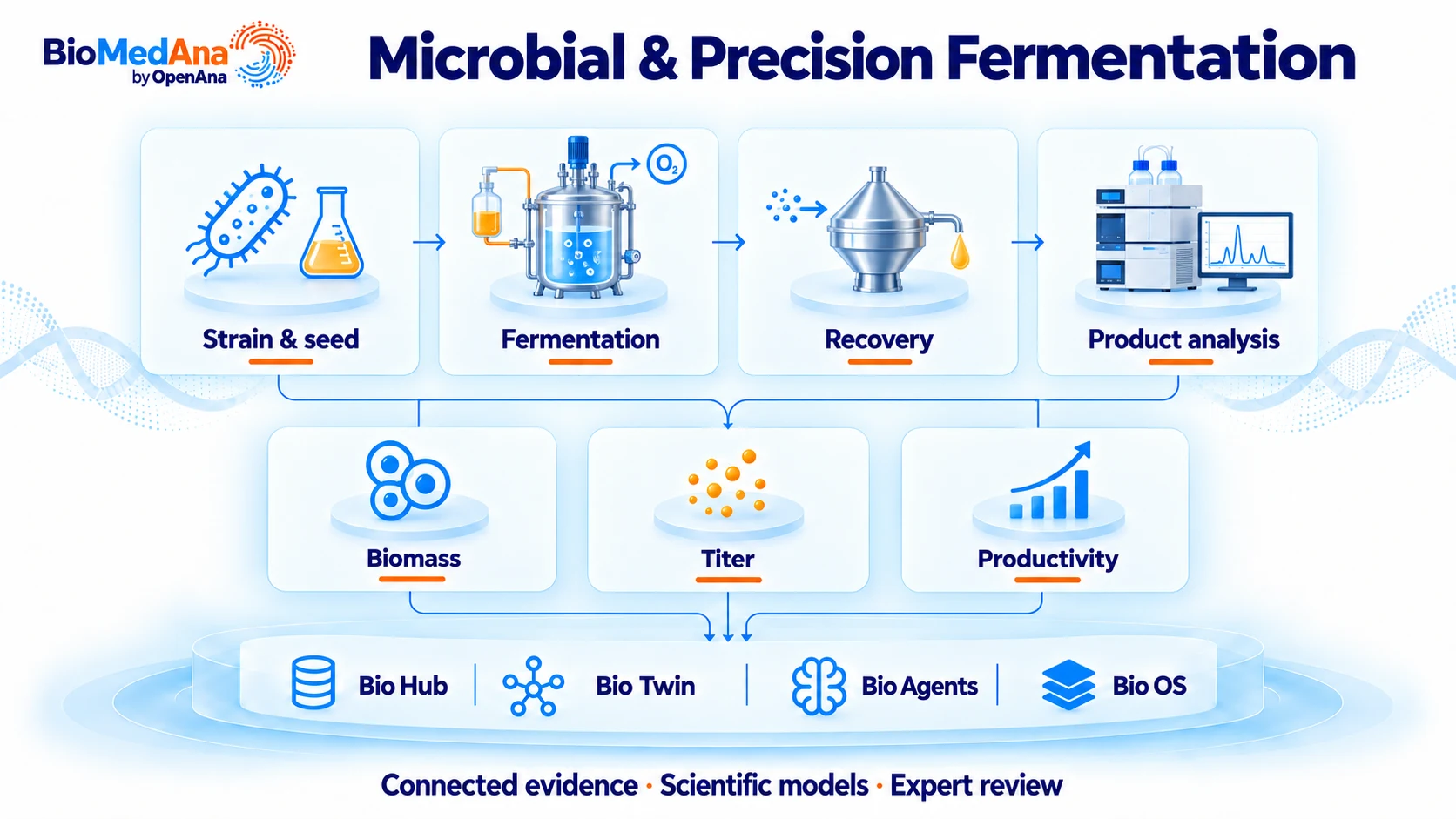 Microbial fermentation: connected process evidence, scientific models and review workflow