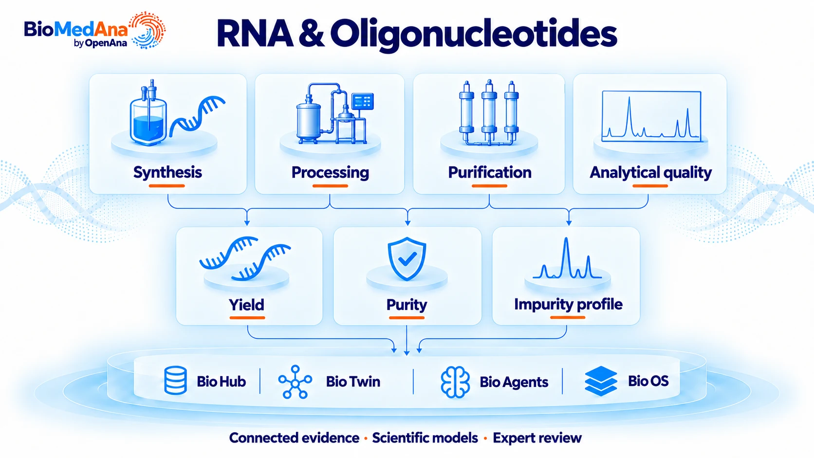 RNA & oligonucleotides: connected process evidence, scientific models and review workflow