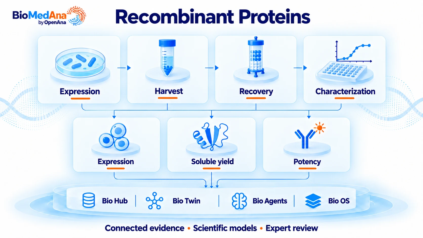 Recombinant proteins: connected process evidence, scientific models and review workflow